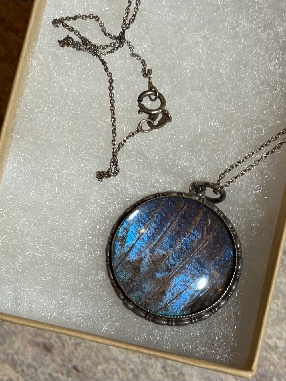 Antique Sterling Silver Morpho Butterfly Wing Round Pendant Necklace - Picture 4 of 10